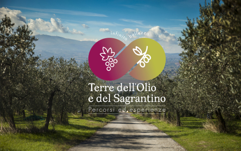 logo Terre dell’Olio e del Sagrantino