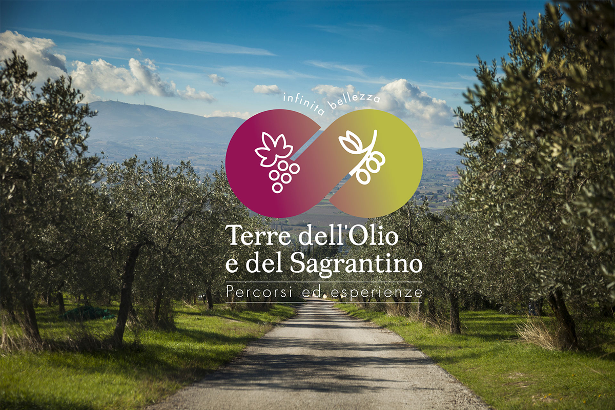 logo Terre dell’Olio e del Sagrantino